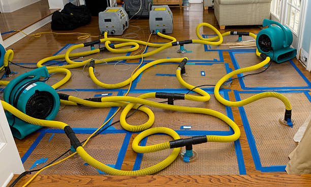 Professional Structural Drying And Dehumidification technician working in Lake Odessa, MI
